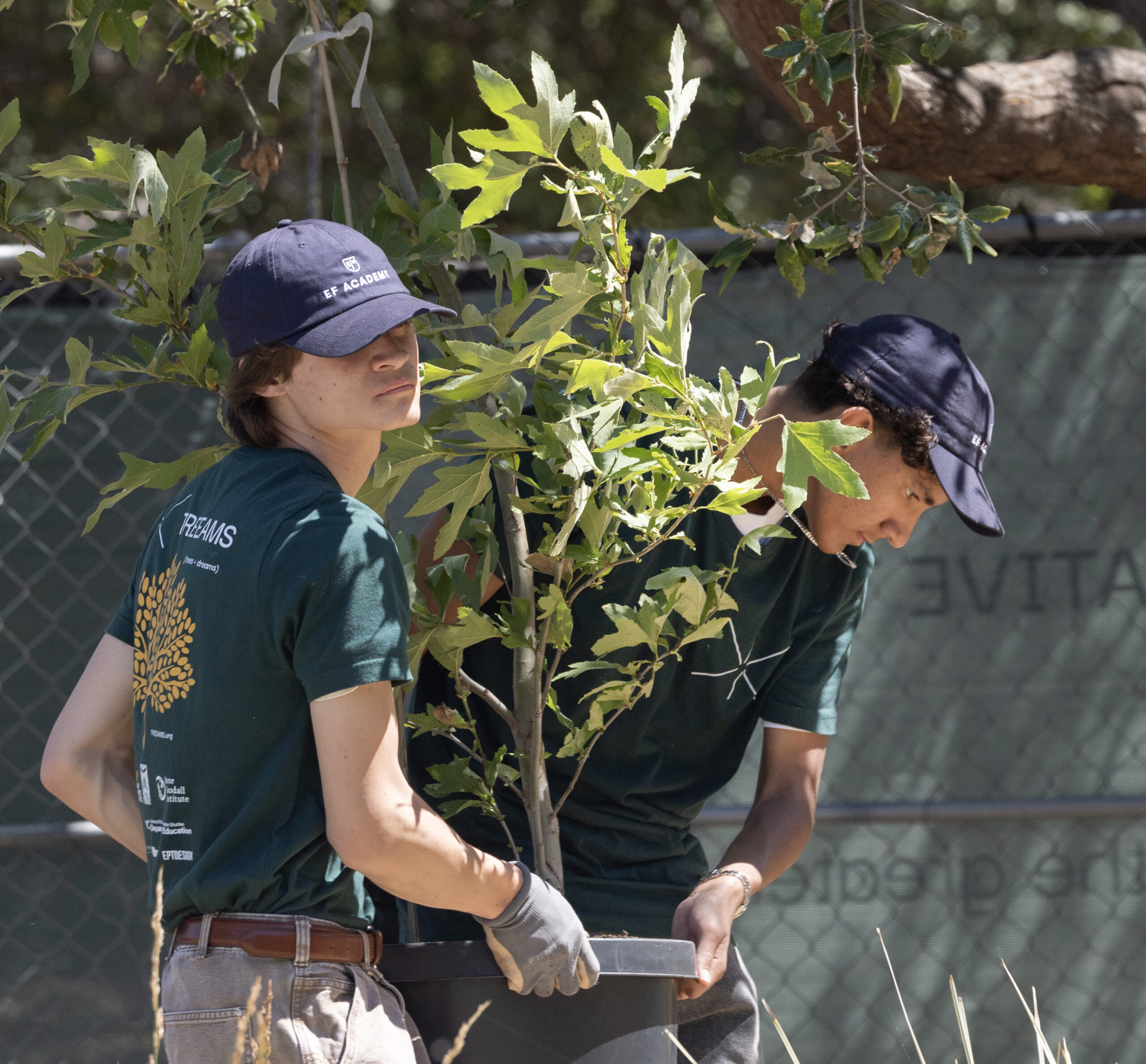 Inspired by Jane Goodall, students build nurseries to reforest L.A.’s fire-scorched communities