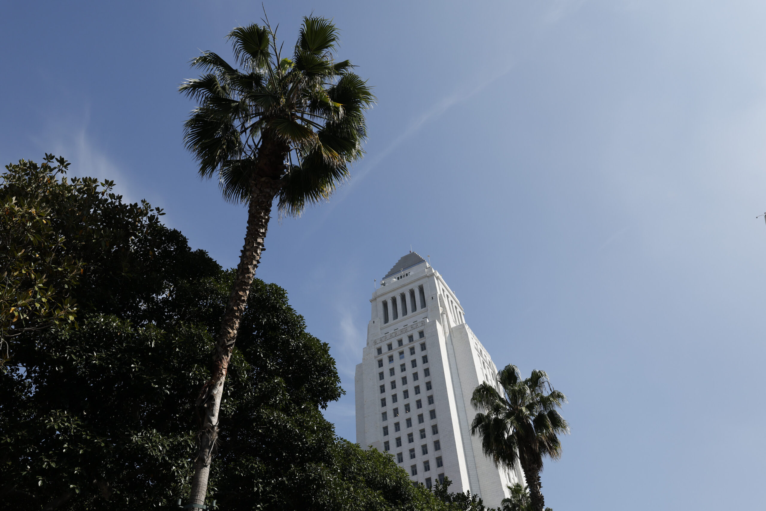 How I learned to stop worrying about noncitizens voting in L.A. elections