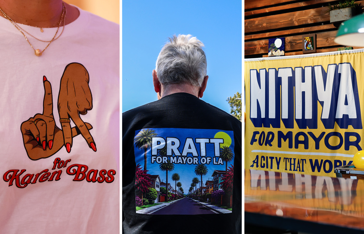 L.A. divided: Bass, Pratt and Raman dominated in different parts of the city