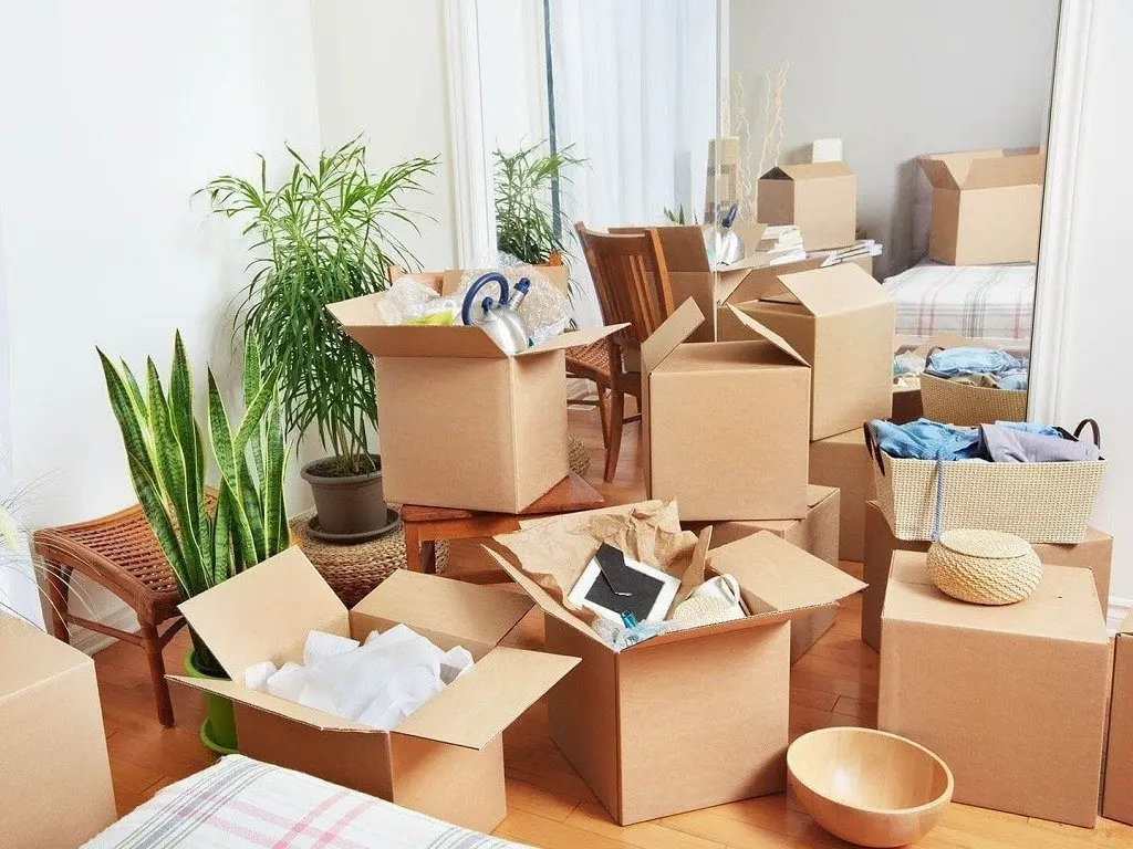 Moving Help Boston and Long Distance Moving Services: Strategic Relocation Management and Technical Logistics