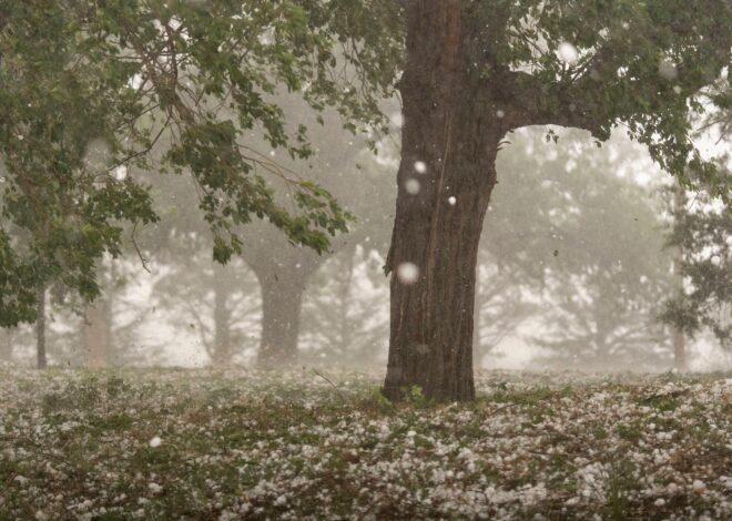 A warmer world creates bigger and more damaging hailstones, study says