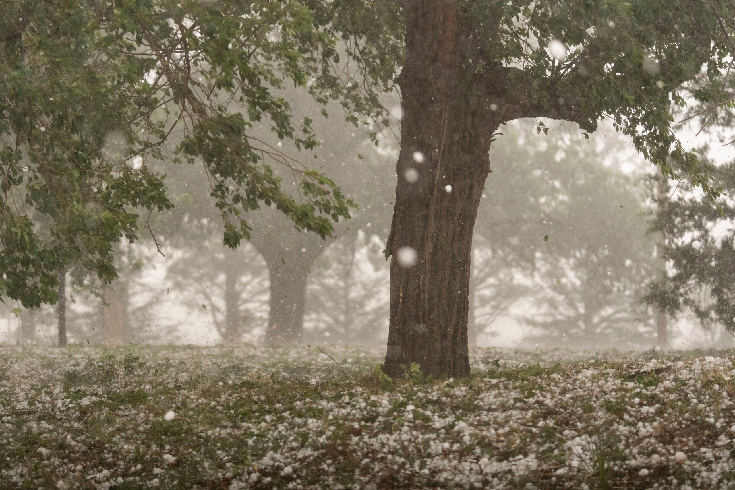 A warmer world creates bigger and more damaging hailstones, study says