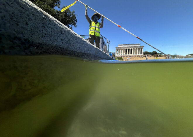 Here’s why the Lincoln Memorial Reflecting Pool went green so fast