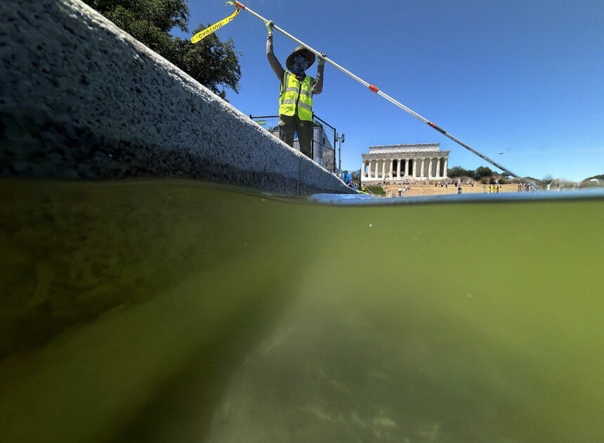 Here’s why the Lincoln Memorial Reflecting Pool went green so fast