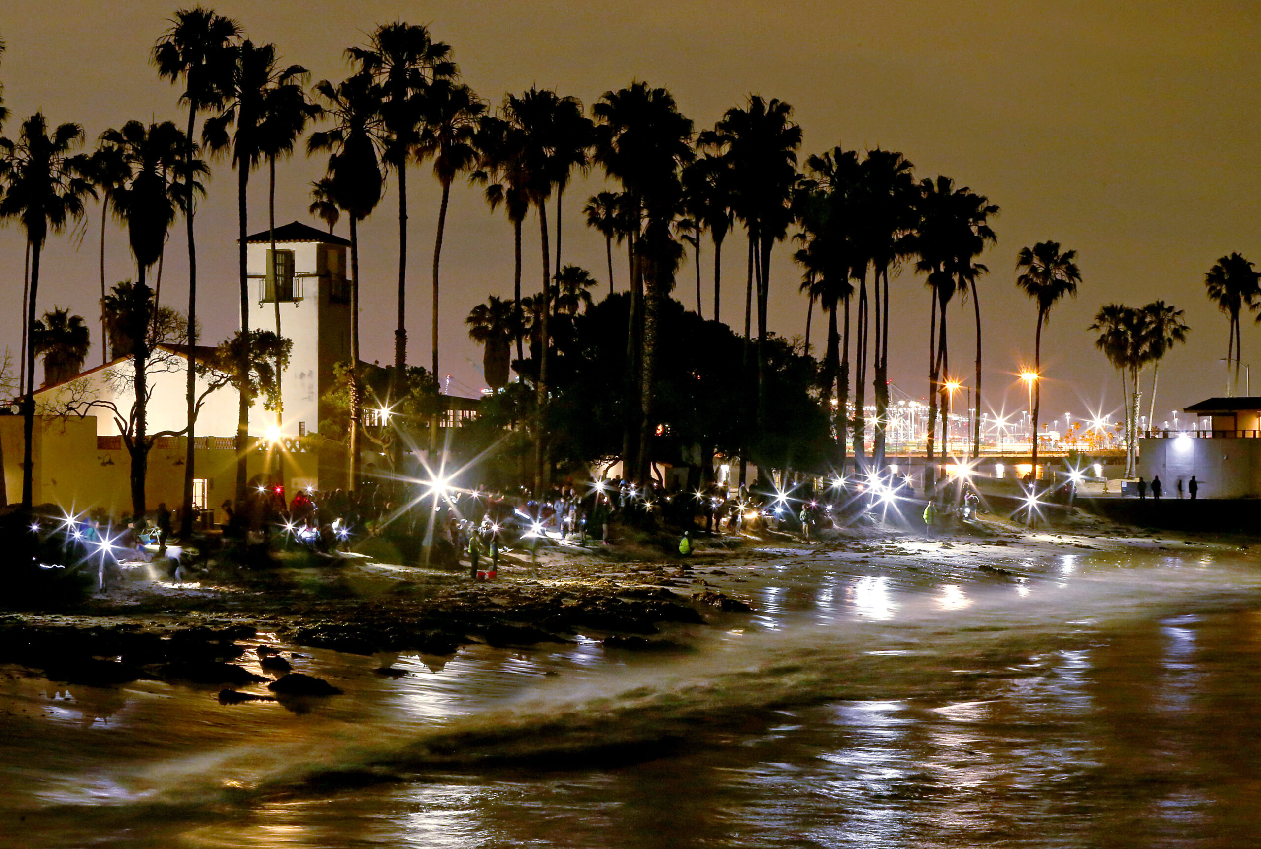 It’s time for the night trip to the beach — the grunion are running