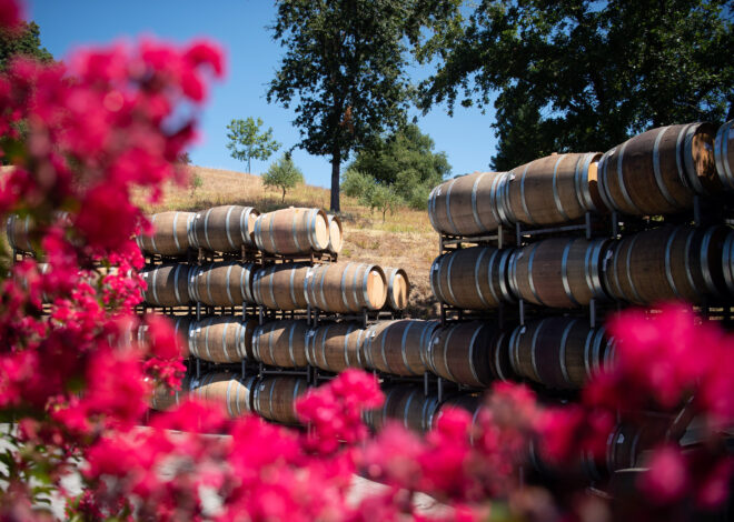 O, Canada! Caught in crossfire, California wineries despair over Trump tariffs