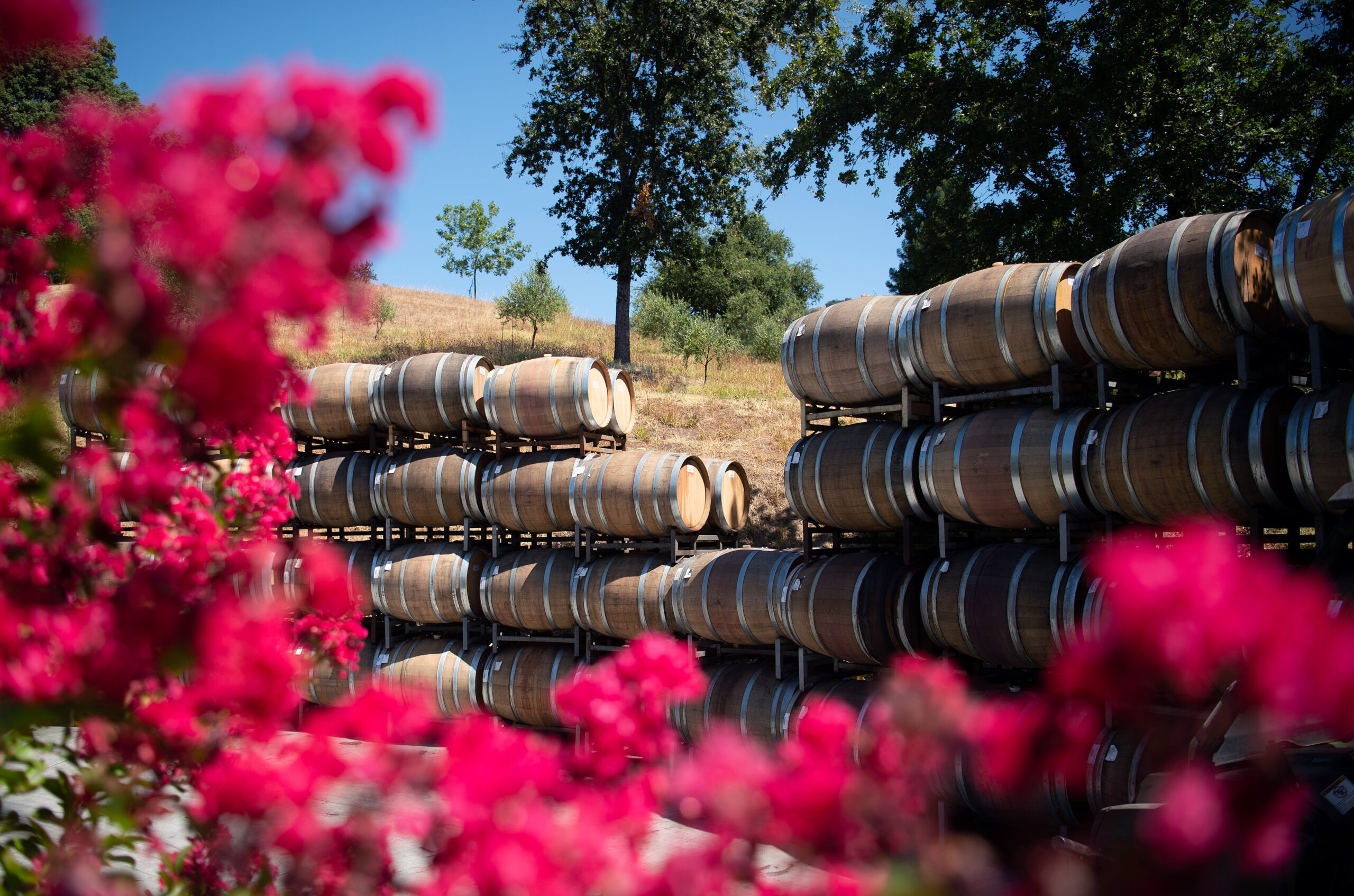 O, Canada! Caught in crossfire, California wineries despair over Trump tariffs