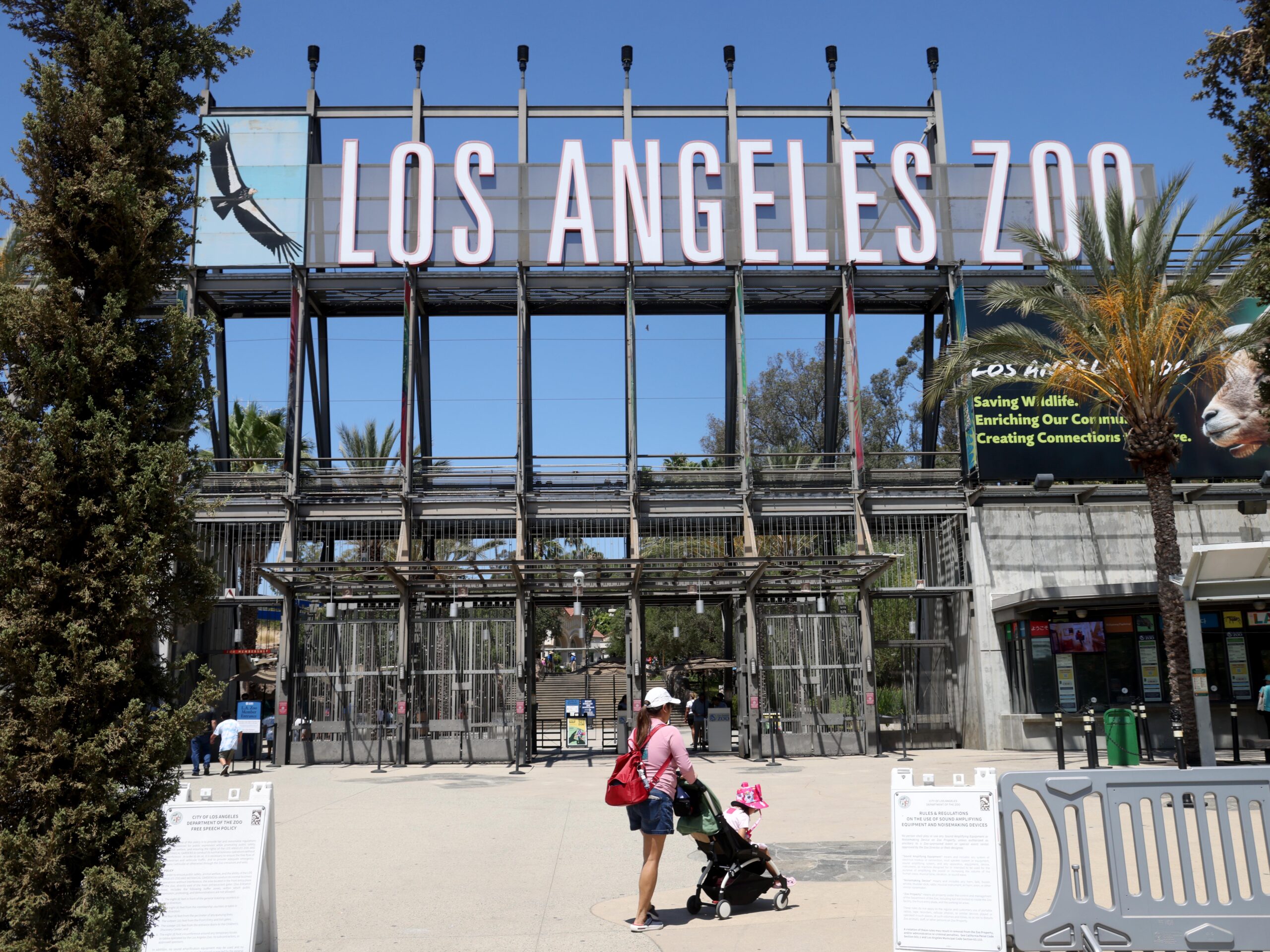 Group that helped run the L.A. Zoo for more than 50 years is now bankrupt