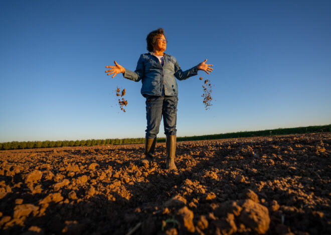California’s push to limit groundwater pumping could leave small farmers in the dust