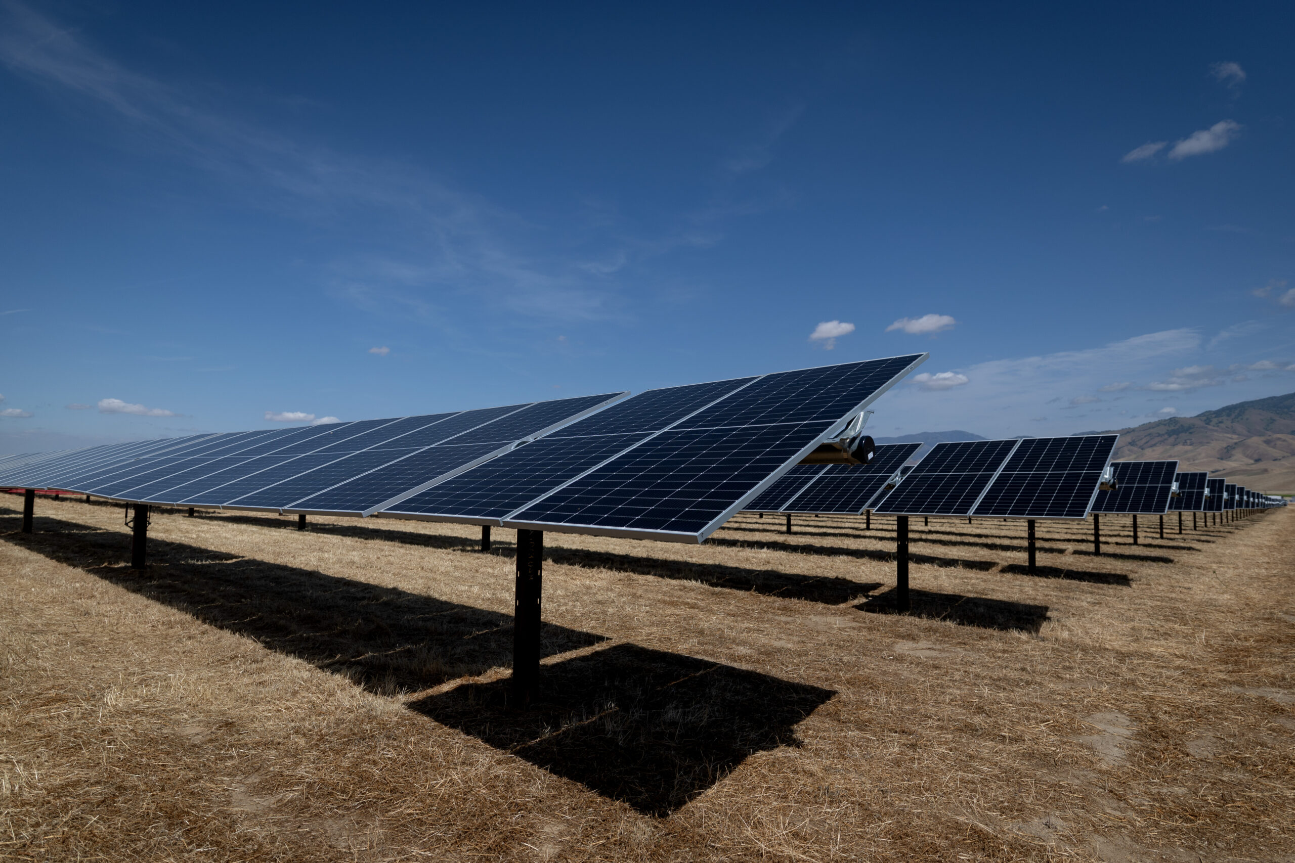 California produced over half its May electricity from solar, a world record