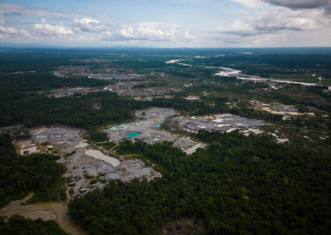 Five Amazon countries arrest hundreds in major crackdown on environmental crime
