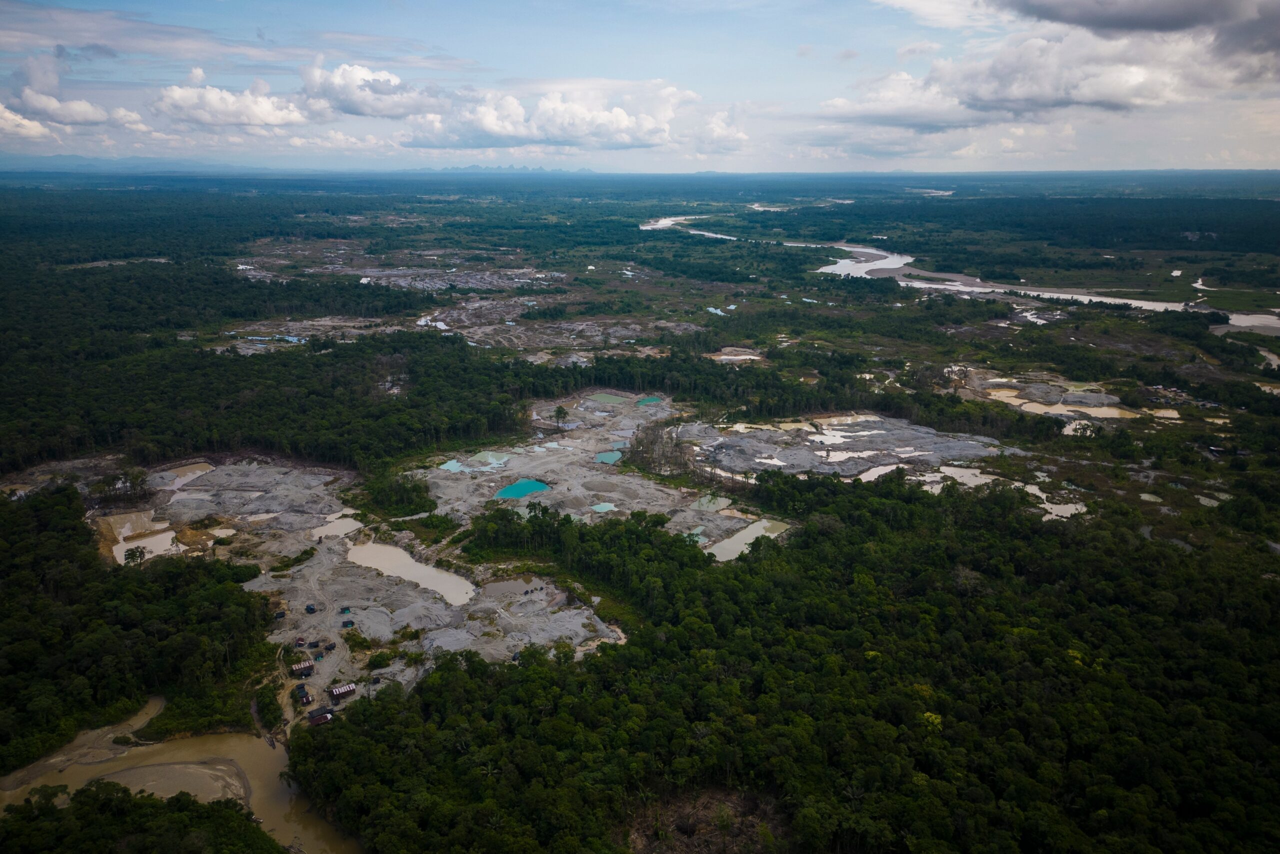 Five Amazon countries arrest hundreds in major crackdown on environmental crime