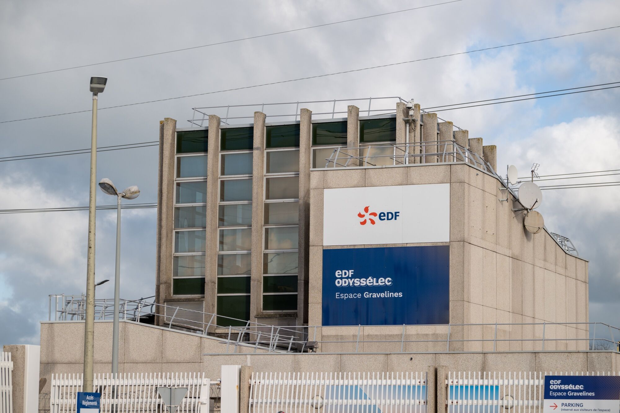 Jellyfish swarms knock out 3.2 gigawatts of French nuclear power