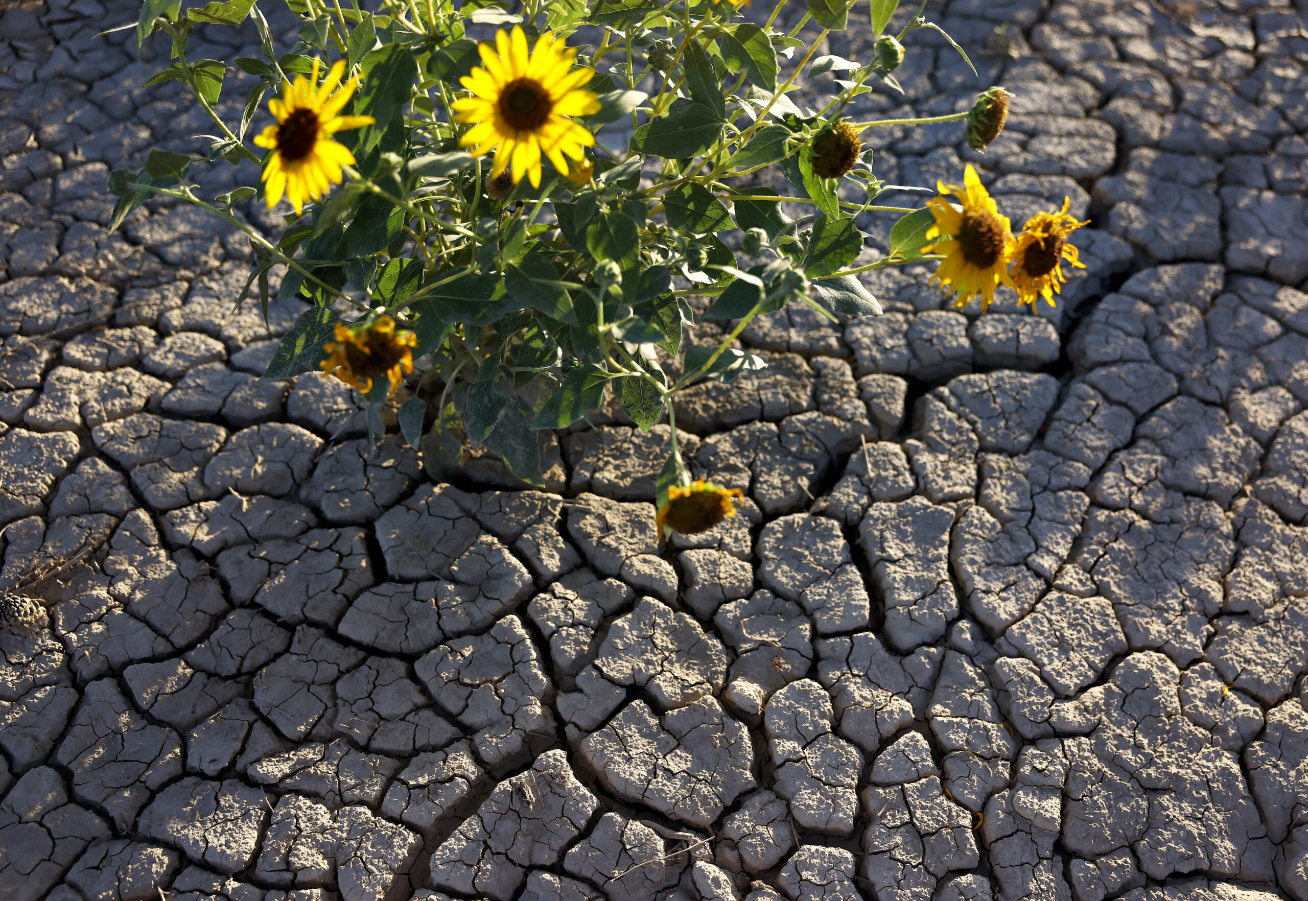 As Colorado River reservoirs shrink, Arizona warns of a legal fight