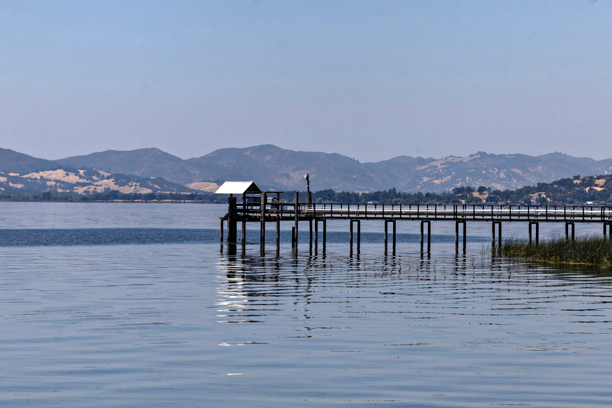 California’s biggest lake is in crisis. Now tribes are coming back to save its sacred fish