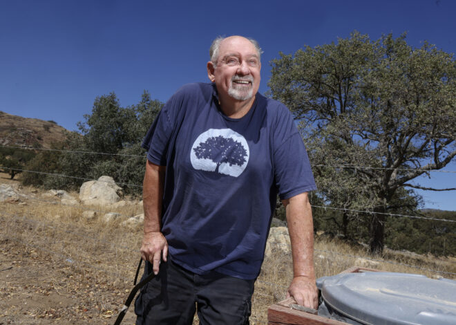 California is losing its oaks. One man is planting 10,000, including in tree-scarce Altadena