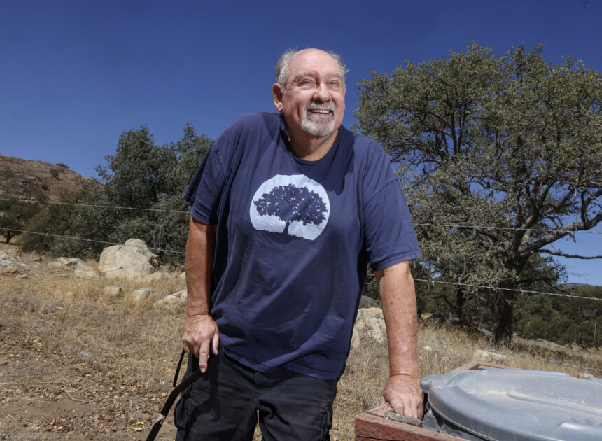 California is losing its oaks. One man is planting 10,000, including in tree-scarce Altadena