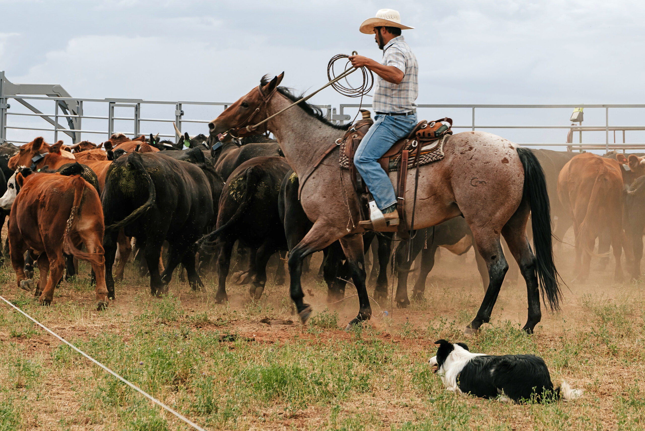 Global warming is ruining their way of life. These Colorado ranchers demand accountability