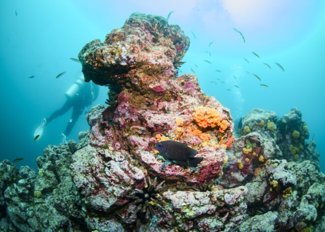 As world braces for ‘super’ El Niño, research suggests global warming has increased its punch