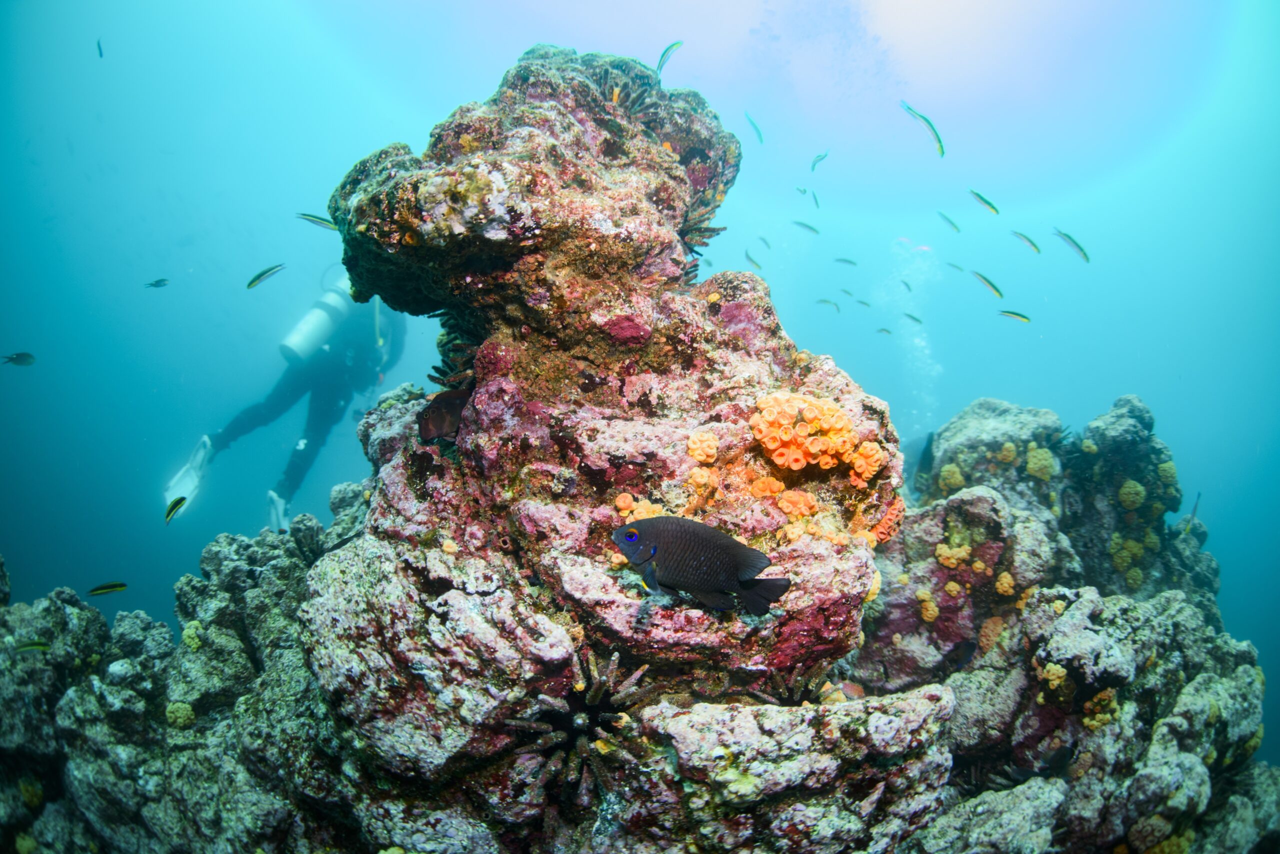 As world braces for ‘super’ El Niño, research suggests global warming has increased its punch