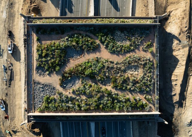 World’s largest wildlife crossing is on track to open this winter — unless El Niño intervenes