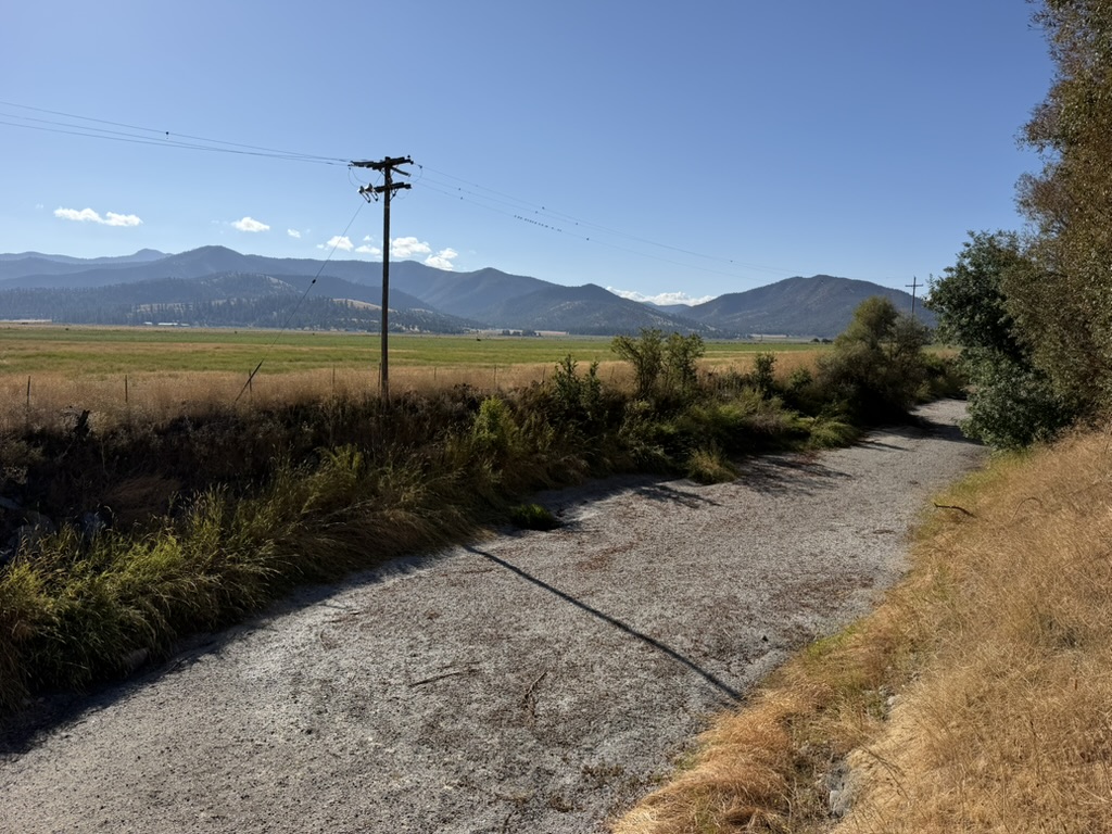 A California river has dried up. Critics say the state should do more to protect its salmon
